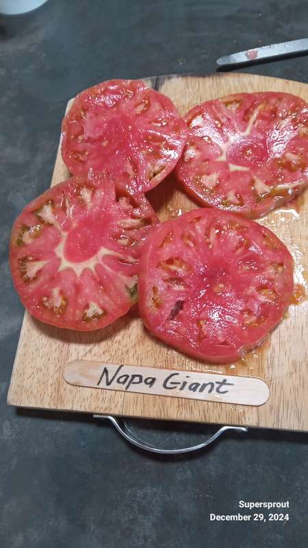 Napa Giant tomato x 10 seeds