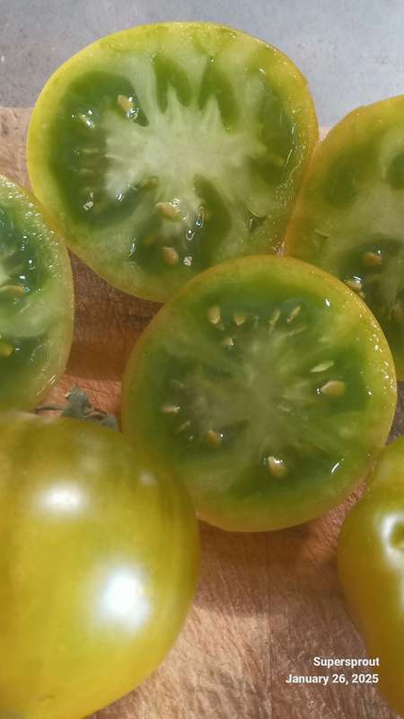 Limelight nipple tomato  x 15 seeds