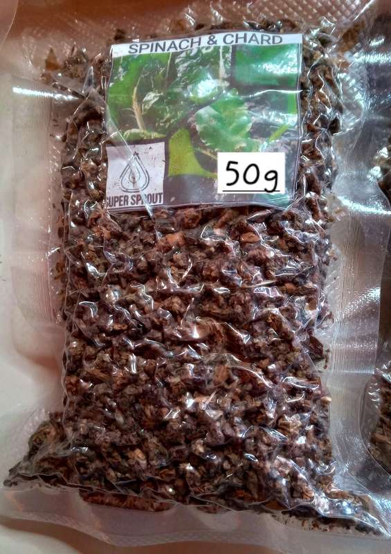 DOOMSDAY SPINACH & CHARD SEEDS x 50g