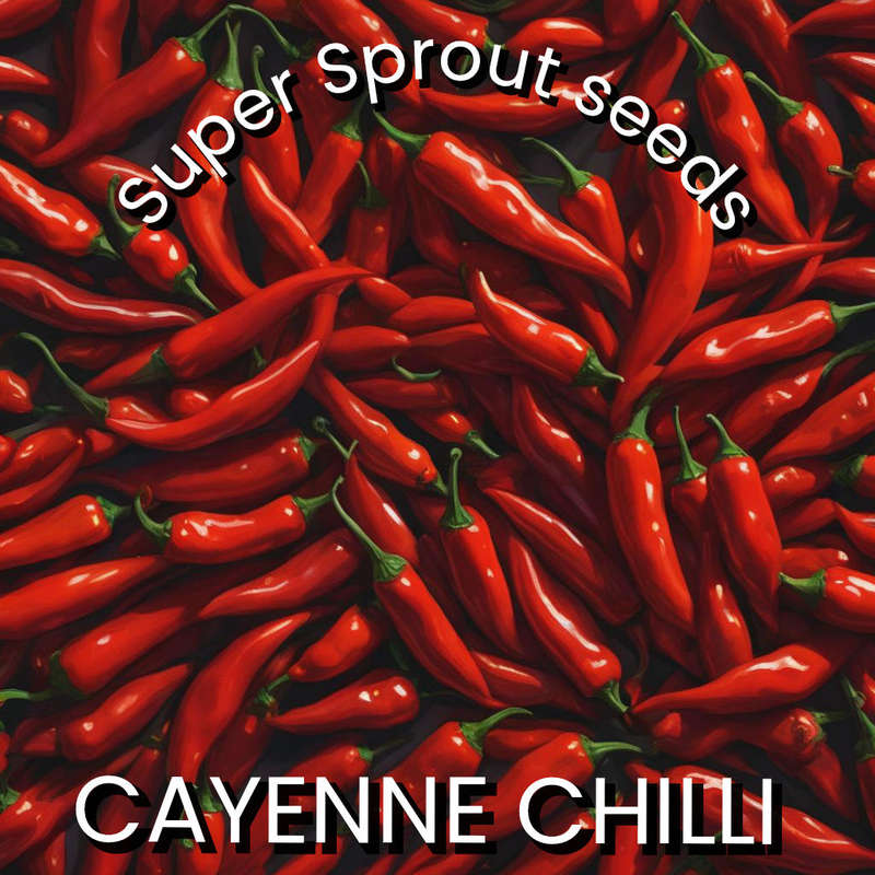 CAYENNE CHILLI PEPPER x 10+ organic seeds