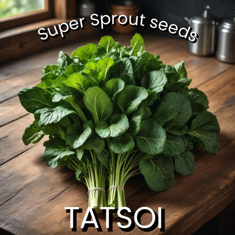 Tatsoi mustard greens x 25+ organic seeds