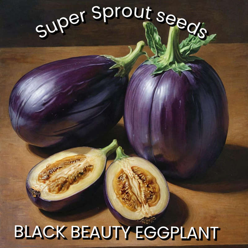 BLACK BEAUTY EGGPLANT x 25 seeds