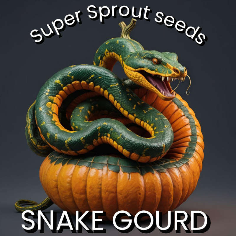 SNAKE GOURD x 5 seeds