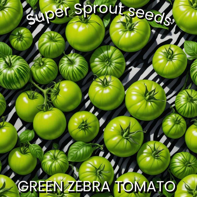 GREEN ZEBRA TOMATO x 15+ seeds