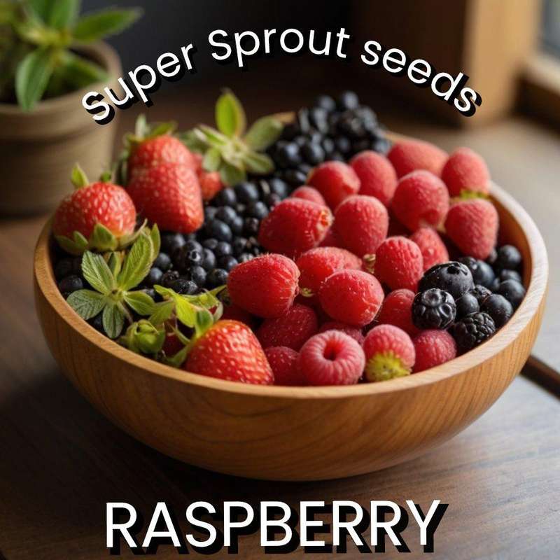 RASPBERRY BERRY x 10 seeds