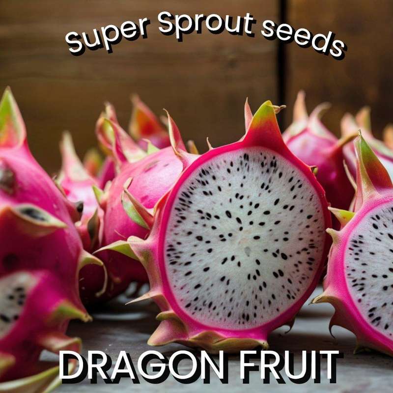 DRAGON FRUIT x 15+ seeds