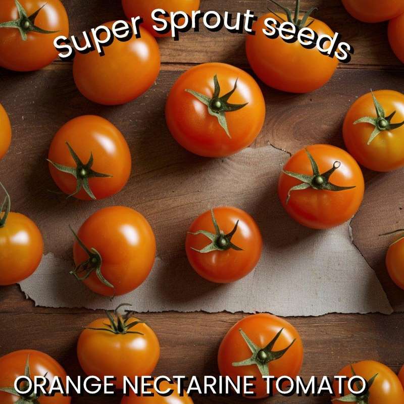 TOMATO TANGERINE x 15 organic seeds