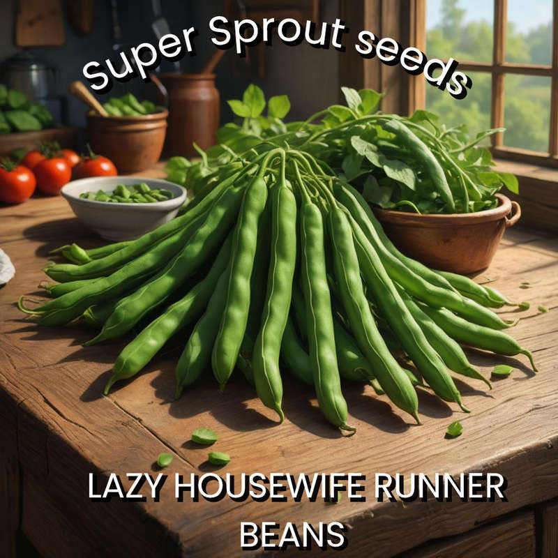 LAZY HOUSEWIVES BEANS x 10 seeds