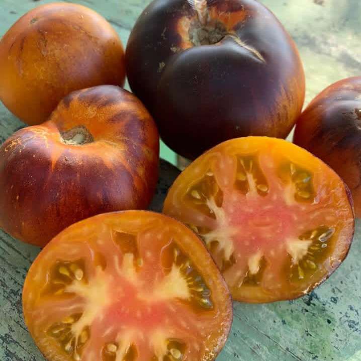 ALICE'S DREAM TOMATO x 10 seeds