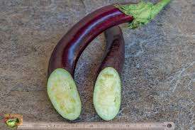 SNAKE OF MUGLA EGGPLANT x 15 seeds