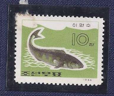 North Korea/1966.Fish of the Eastern Lake   Okhotsk Atka Mackerel  hm