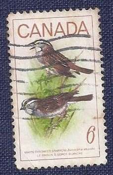 Canada/1969.Birds  White-throated Sparrows
