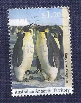 Aus. Antartic1992.Antarctic Wildlife  Emperor Penguin with Chicks $1,20
