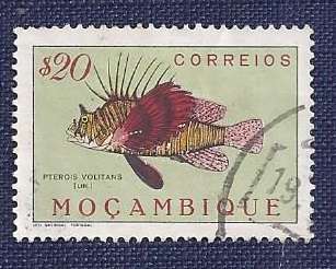 Mozambique/1951Fish   $20    Red Lionfish (Pterois volitans)