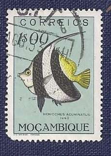 Mozambique/1951Fish   1$00    Pennant Coralfish (Heniochus acuminatus)