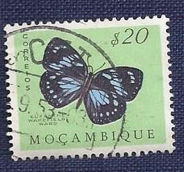 Mozambique/1953Butterflies and Moths  $20   Forest Queen (Euxanthe wakefieldi)