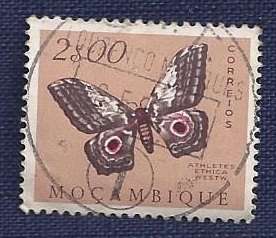 Mozambique/1953Butterflies and Moths  2$00   Moth (Athletes ethra)