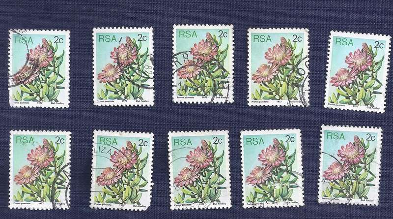 RSA1977Flora - Protea Plants  2c  x 10     Water Sugarbush