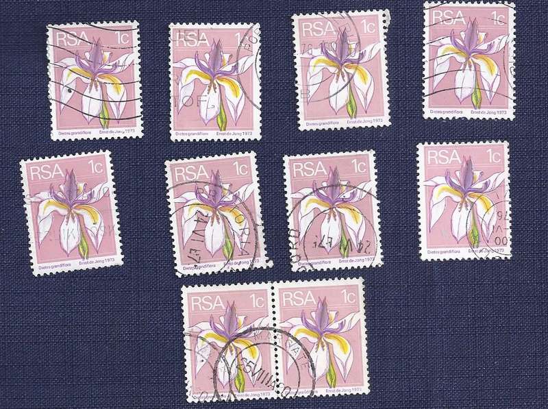RSA.1974.  Flora and Fauna  1c     Large White Iris  x10 stamps