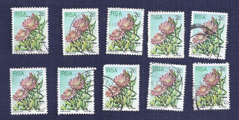 RSA.1977.Flora - Protea Plants  2c  x 10     Water Sugarbush