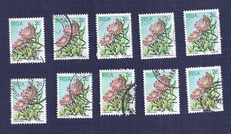 RSA.1977.Flora - Protea Plants  2c  x 10     Water Sugarbush