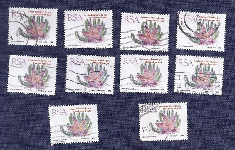 RSA. 1993. Flora - Succulents Stapelia grandiflora Standard Post x10