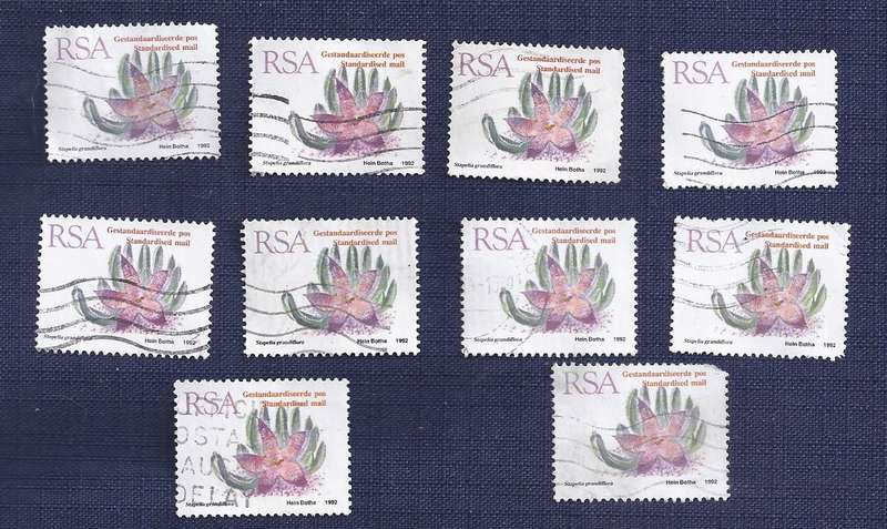 RSA. 1993. Flora - Succulents Stapelia grandiflora Standard Post x10