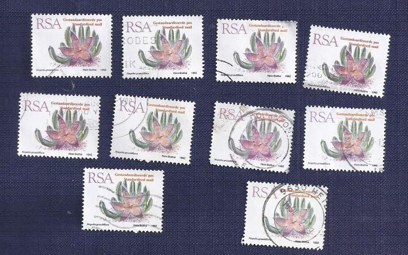 RSA. 1993. Flora - Succulents Stapelia grandiflora Standard Post x10