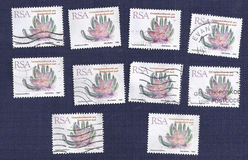 RSA. 1993. Flora - Succulents Stapelia grandiflora Standard Post x10