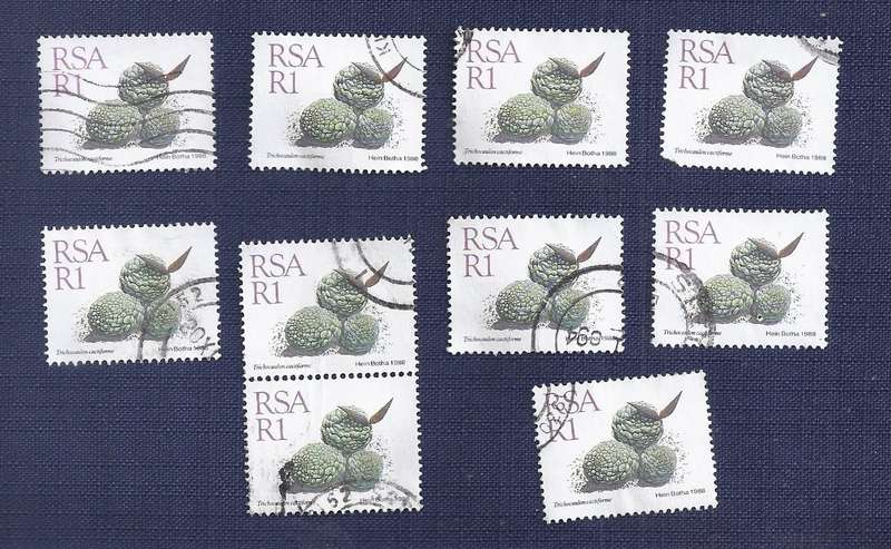 RSA. 1988. Flora - Succulents  Trichocaulon cactiforme  R1 x10