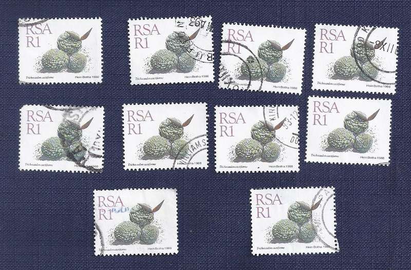 RSA. 1988. Flora - Succulents  Trichocaulon cactiforme  R1 x10
