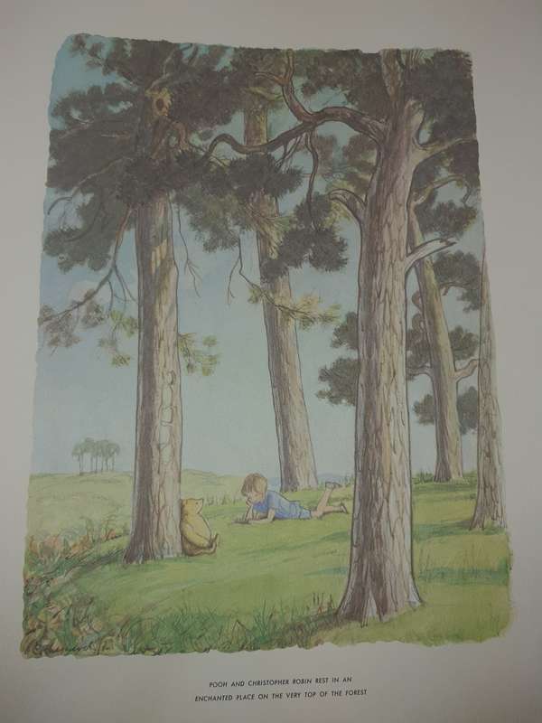 A VINTAGE COLLECTORS WINNIE THE POOH ART WORK SET SOLD AS IS