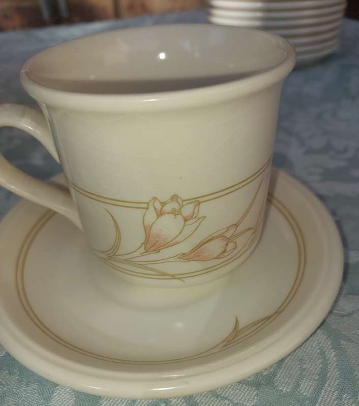 Vintage Biltons 24 Piece Side Plates Cups & Saucers