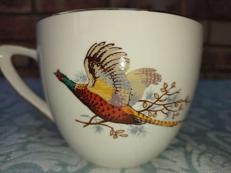 A VINTAGE COLLECTABLE CROWN DEVON FIELDING  FLYING PHEASANTS TEA CUP AND SAUCER