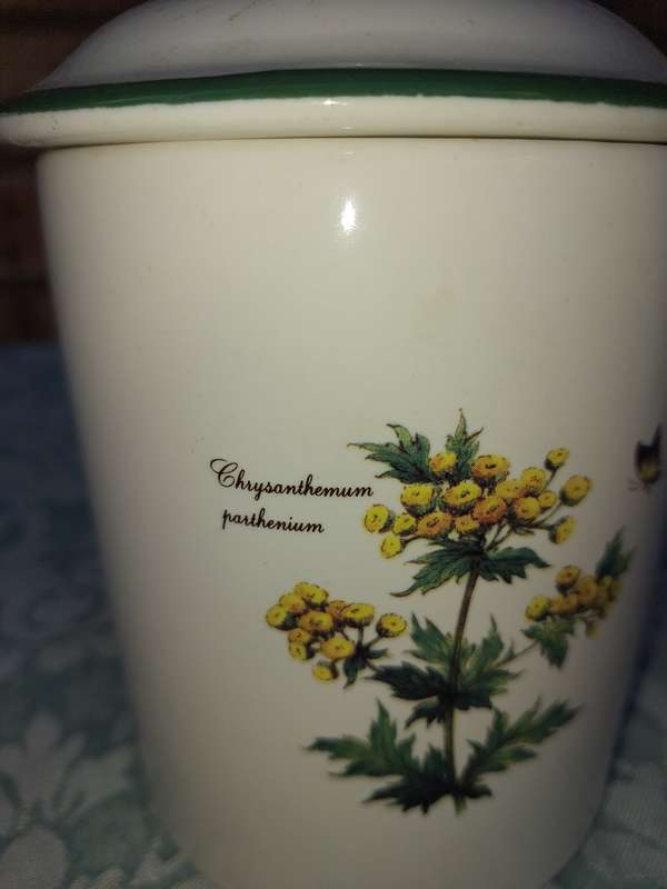 A CERAMIC PORCELAIN SWEATS JAR BY WOOLWORTH SOLD AS IS