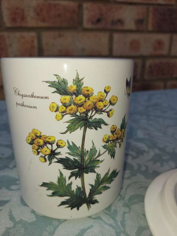 A CERAMIC PORCELAIN SWEATS JAR BY WOOLWORTH SOLD AS IS