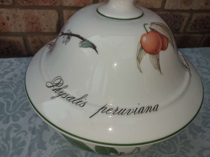 A VINTAGE  NOS ELYSIAN GARDEN APILCO SOUP TUREEN WITH LID