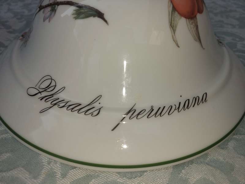 A VINTAGE  NOS ELYSIAN GARDEN APILCO SOUP TUREEN WITH LID