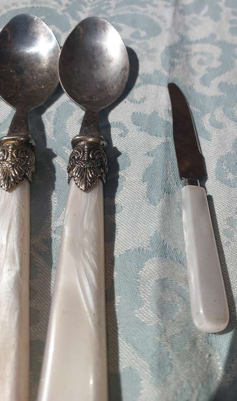A COLLECTION OF MOTHER OF PEARL CUTLERY PLASTIC HANDLES