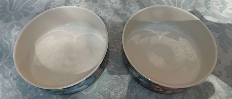 A VINTAGE SET OF 2 VILLEROY & BOCK DESERT BOWLS XENIA