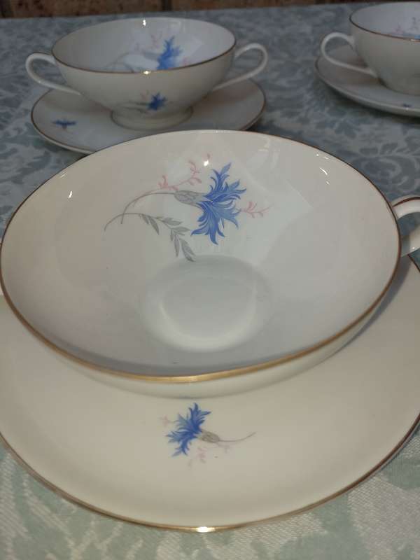 SET 06 SIX VINTAGE FLORAL DESIGN KPM KRISTER GERMANY III 100F4 SOUP BOWLS AND SAUCERS SOLD AS IS