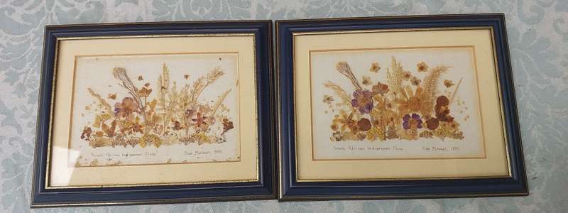 TWO ART WORK FRAMES WITH ORGANIC MATERIAL SOLD AS IS R200