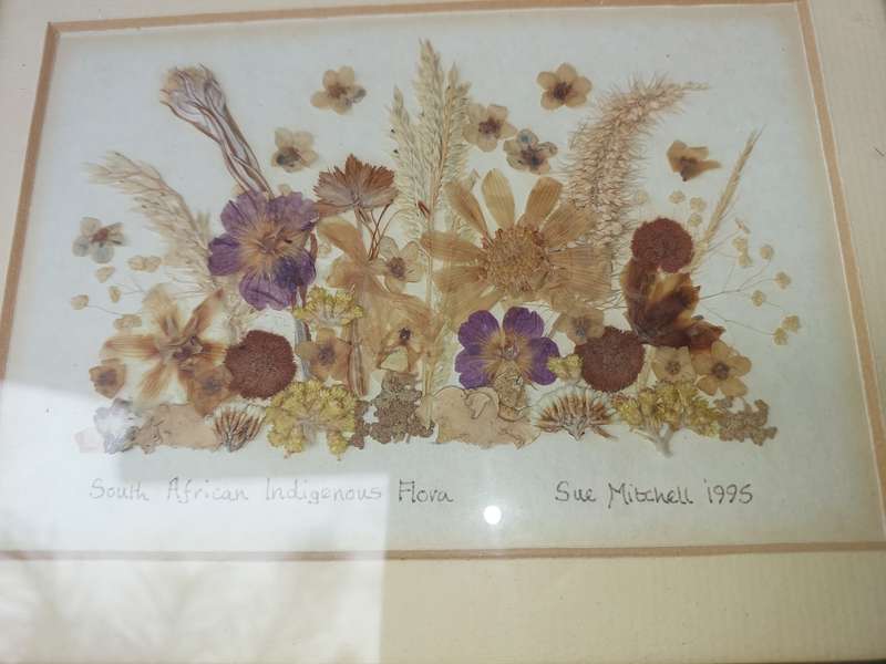 TWO ART WORK FRAMES WITH ORGANIC MATERIAL SOLD AS IS R200