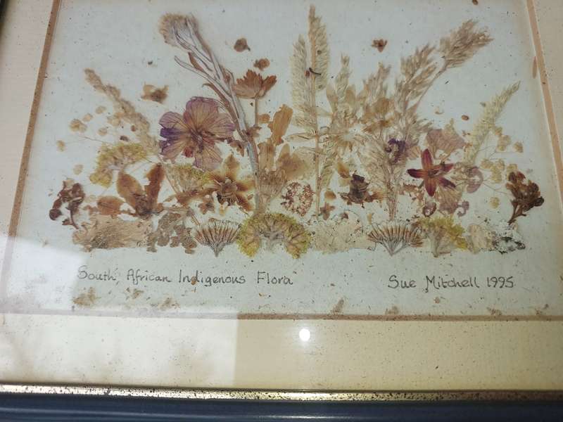 TWO ART WORK FRAMES WITH ORGANIC MATERIAL SOLD AS IS R200
