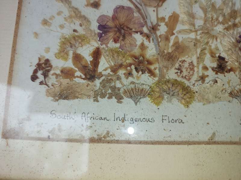 TWO ART WORK FRAMES WITH ORGANIC MATERIAL SOLD AS IS R200