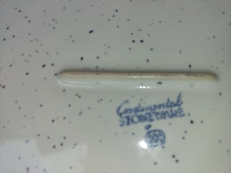 A RECTANGULAR STONE WARE CASSEROLE BY CONTINENTAL SOLD AS IS