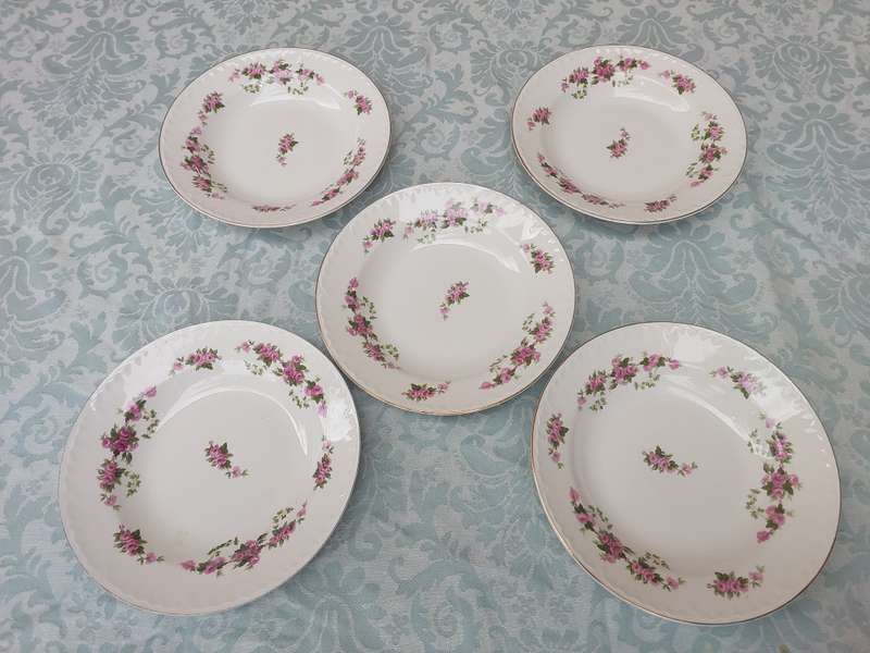 A VINTAGE SET OF 5 PORCELAIN DINNER PLATES WITH SILVER TRIM SOLD AS IS