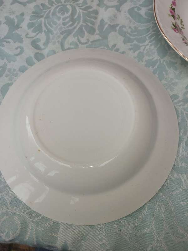 A VINTAGE SET OF 5 PORCELAIN DINNER PLATES WITH SILVER TRIM SOLD AS IS
