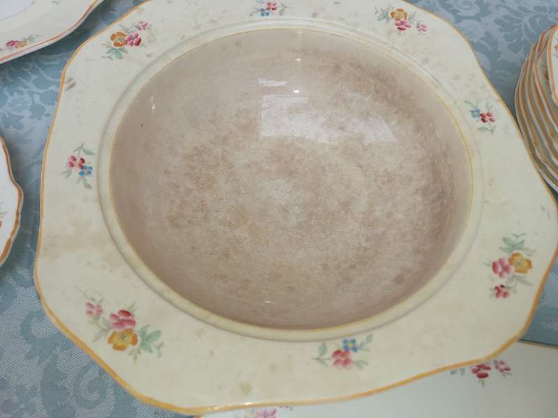 A VINTAGE OF WHITE WITH A FLORAL DESIGN DINNER SET BY ALFRED MEAKEN ENGLAND SOLD AS IS