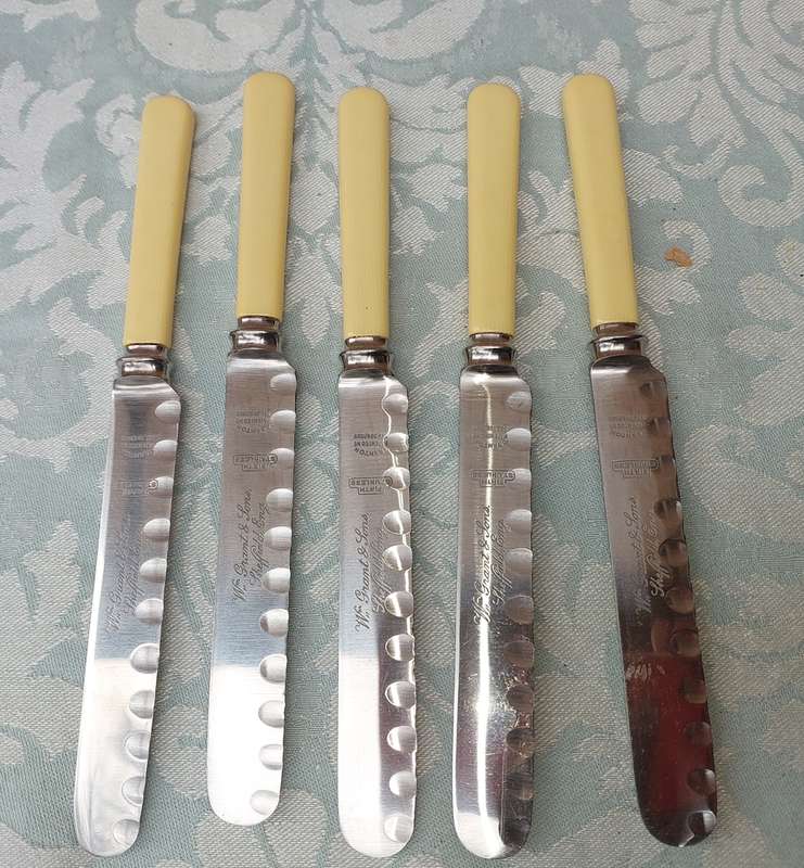 A SET OF FIVE VINTAGE BONE HANDLED STEAK KNIVES